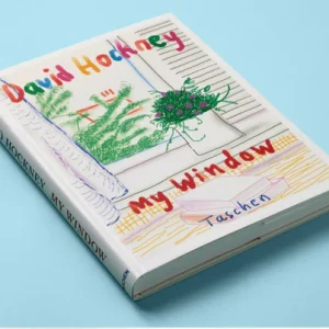 My Window - David Hockney